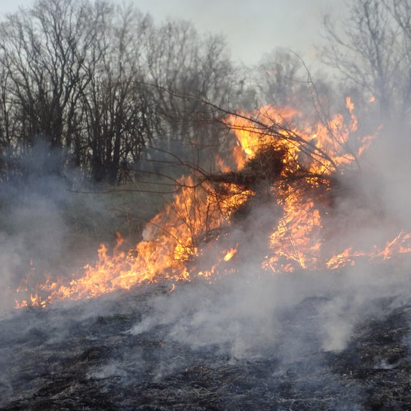 Pile of branches on fire in a field, producing smoke with leafless trees in the background.
