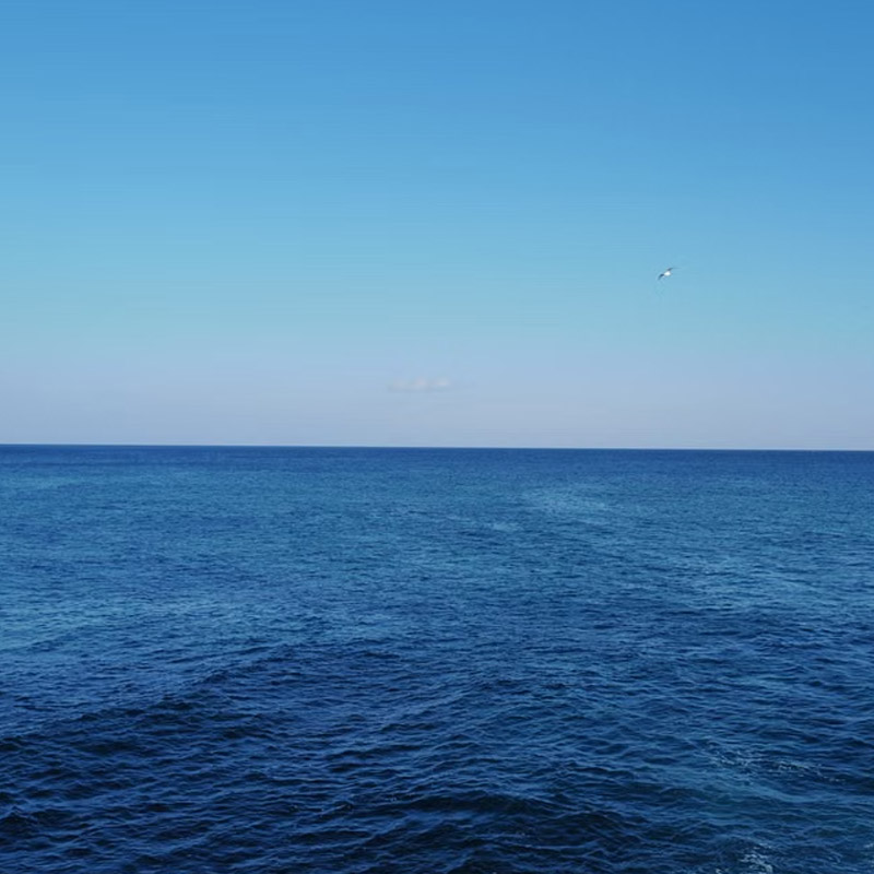 Calm blue sea meeting a pale blue sky at the horizon, with a lone bird flying above the water.